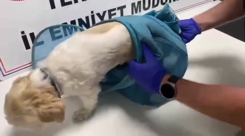 Tekirdağ’da son 2 haftada gerçekleştirilen operasyonlarda uyuşturucu madde suçlarıyla ilgili