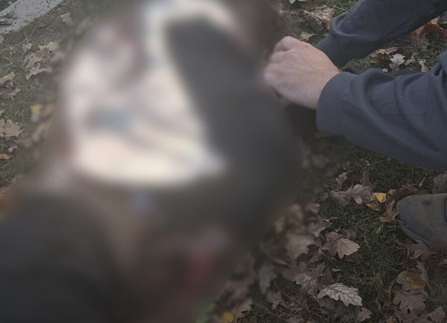 Rusya’nın Ukrayna’da gerçekleştirdiği İnsansız Hava Aracı (İHA) saldırısı sonucunda, 3’ü