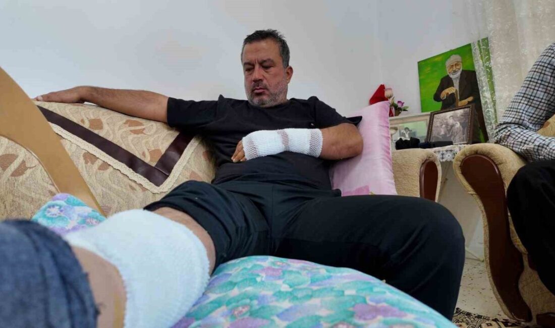 Erdemli ilçesinde yaşanan olayda, sahibi tarafından terk edilen bir köpek,