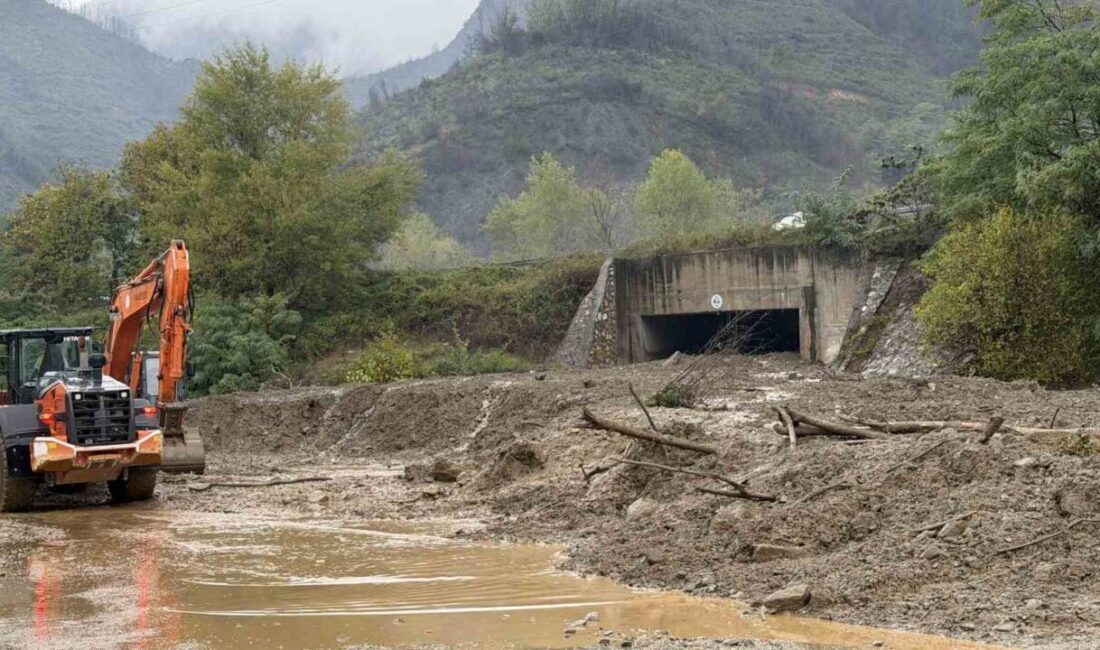 Sakarya’nın Geyve ilçesinde yaşanan şiddetli yağış sonucu Doğançay ve Maksudiye