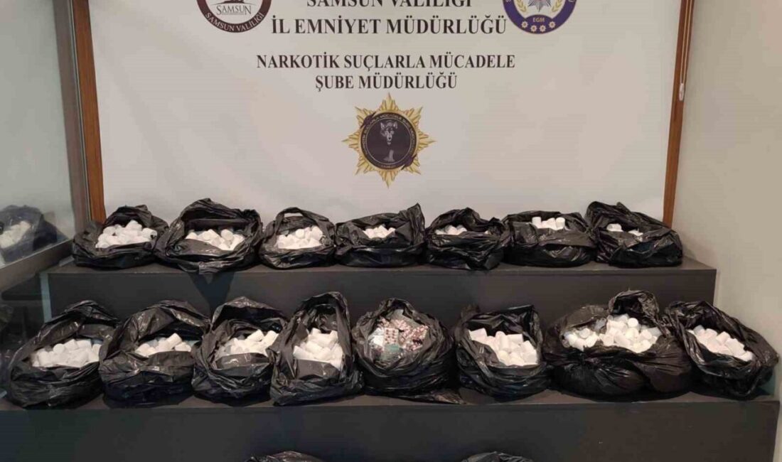 Samsun Emniyet Müdürlüğü Narkotik Suçlarla Mücadele Şube Müdürlüğü ekipleri, Canik,