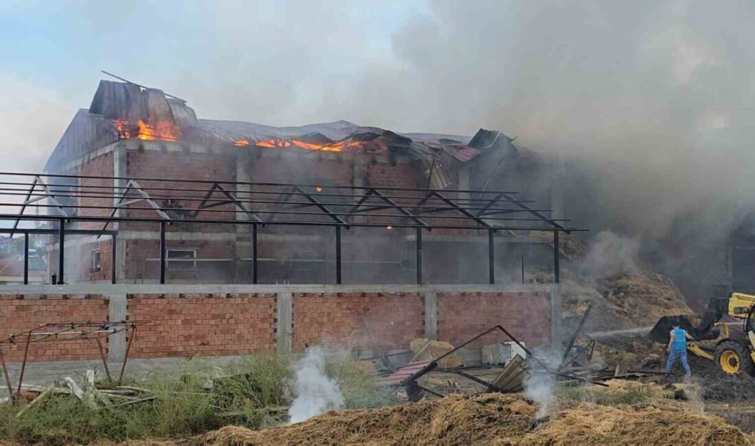 Samsun’un Vezirköprü ilçesinde meydana gelen yangın, bir kaynak çalışması sırasında