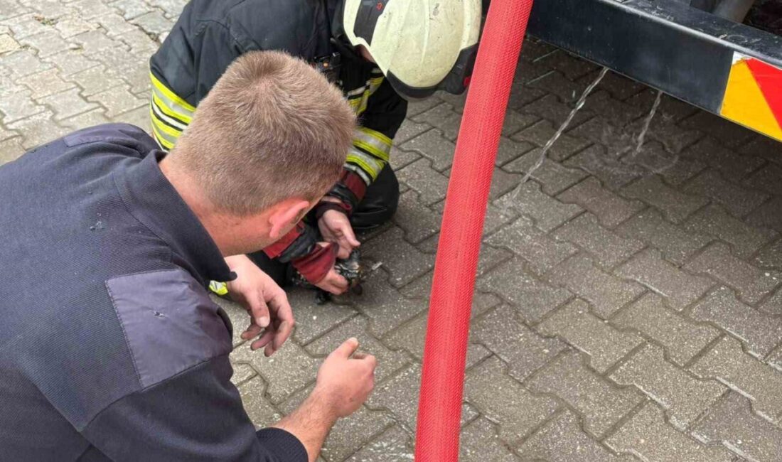 Samsun’un Vezirköprü ilçesinde bir evin oturma odasında çıkan yangında eşyalar