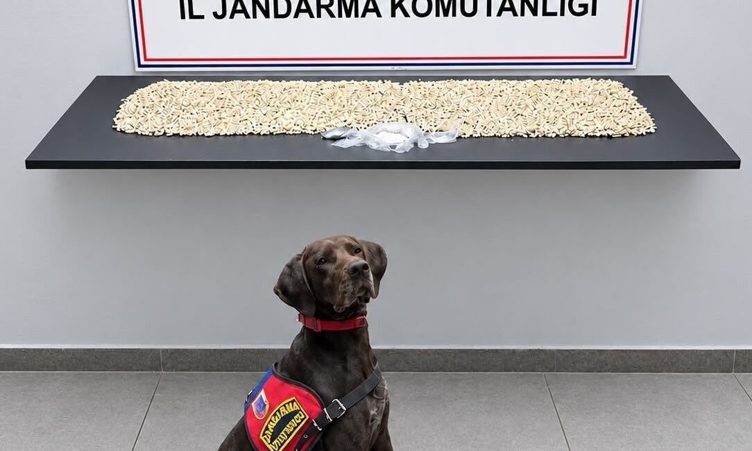 Şanlıurfa’nın Eyyübiye ilçesinde düzenlenen bir operasyonda, 14 bin 410 adet