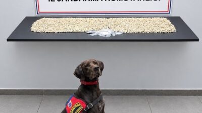 Şanlıurfa’nın Eyyübiye ilçesinde düzenlenen bir operasyonda, 14 bin 410 adet