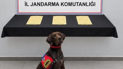 Şanlıurfa’nın Eyyübiye ilçesinde düzenlenen operasyonda 2 bin 970 Captagon hap