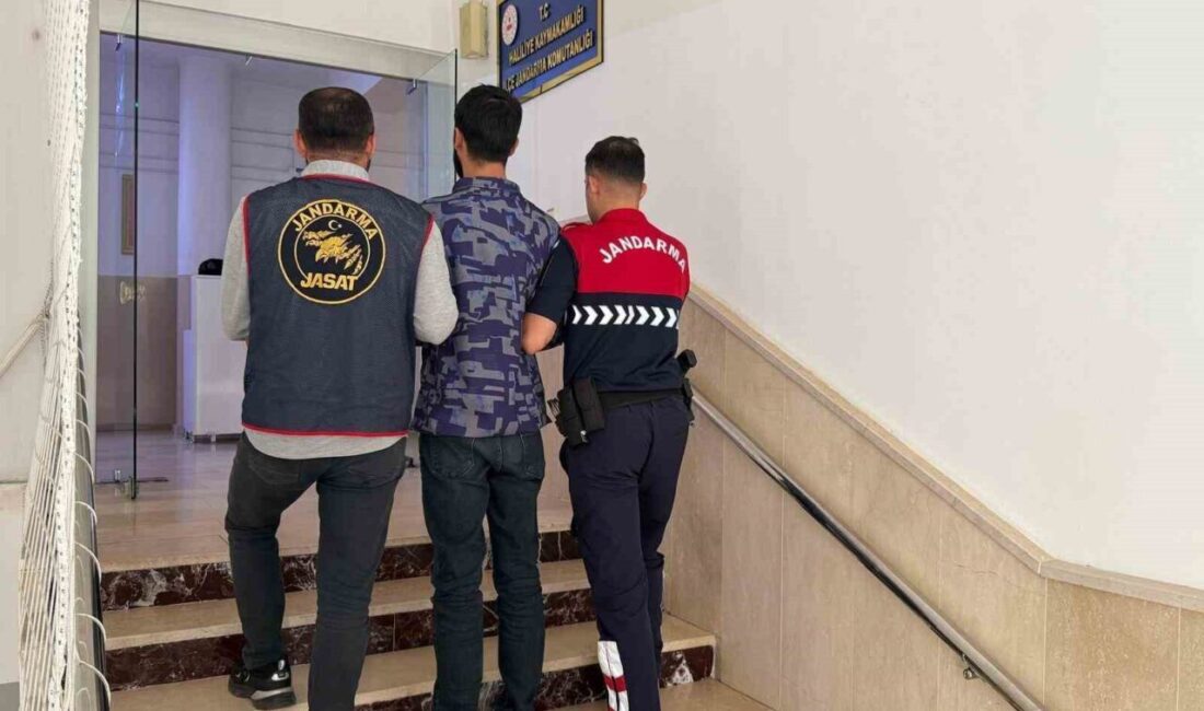 Şanlıurfa’nın Haliliye ilçesinde, 5 yıl hapis cezası bulunan bir hükümlü,