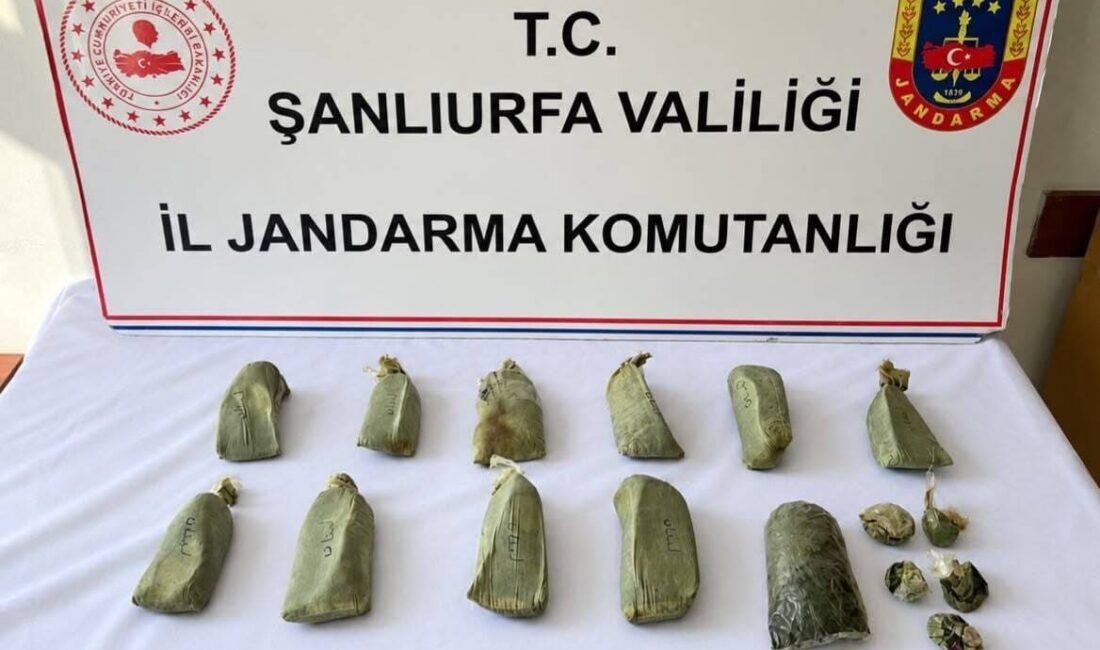 Şanlıurfa’nın Suruç ilçesinde düzenlenen operasyonda 5,5 kilogram esrar ele geçirildi.