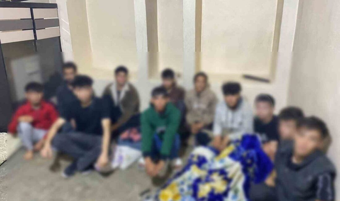 Şanlıurfa’da yapılan operasyonlar sonucunda 61 kaçak göçmen yakalandı. Şanlıurfa İl