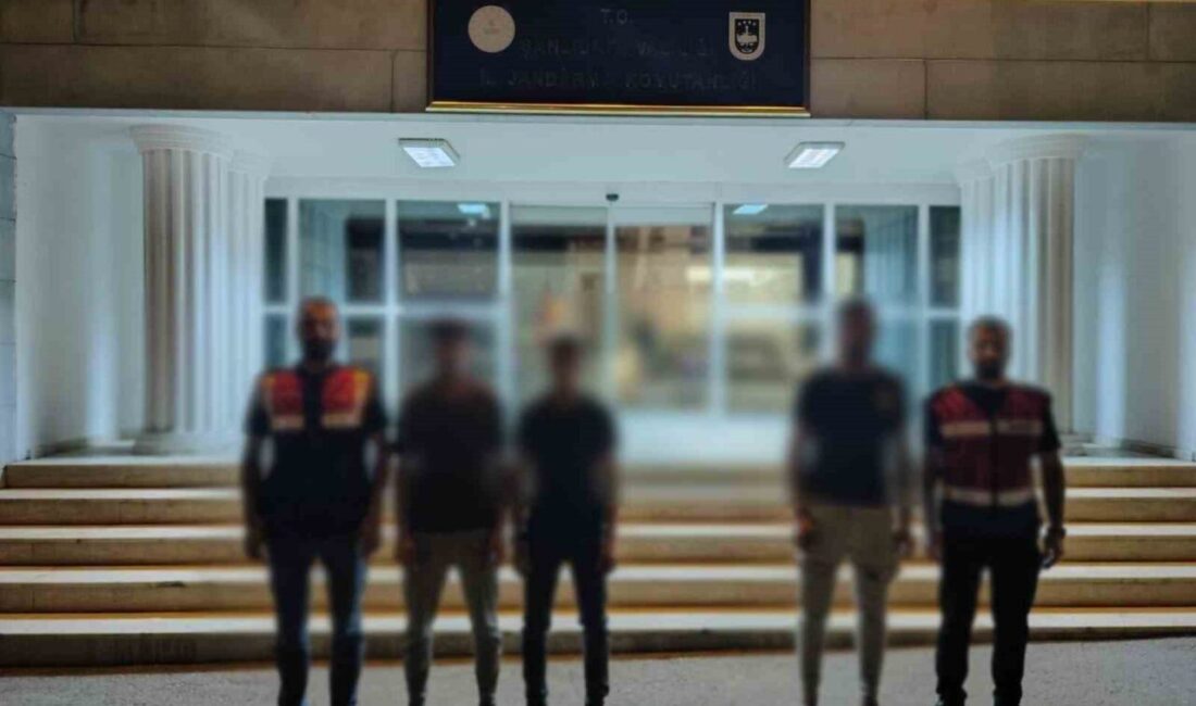 Şanlıurfa’da göçmen kaçakçılığı yaptıkları tespit edilen 9 şüpheli, Şanlıurfa İl