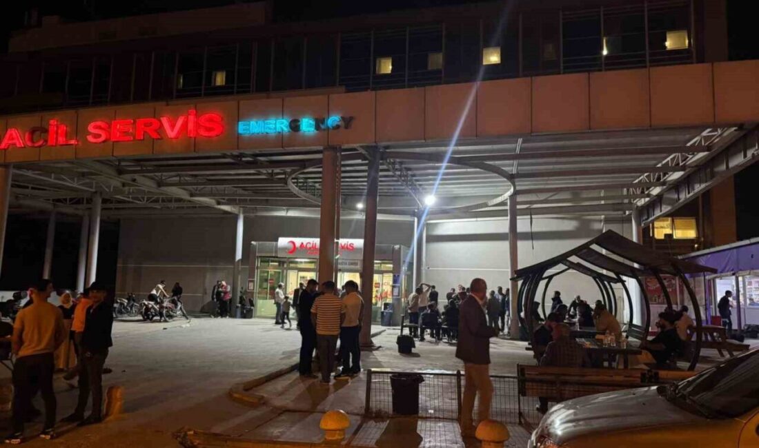 Birecik ilçesinde, Fiat Tofaş marka bir aracın karıştığı trafik kazasında