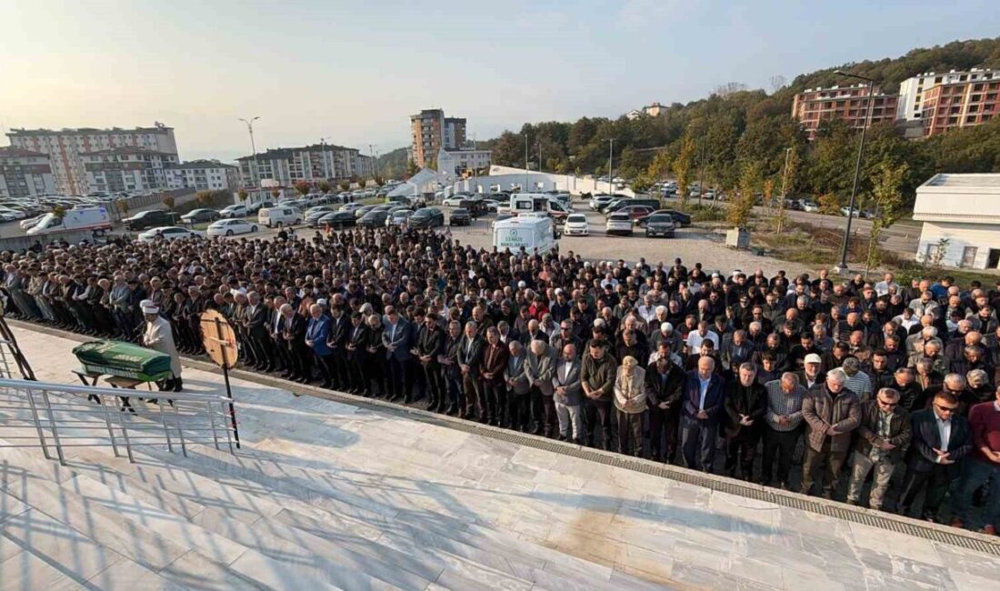 Düzce Üniversitesi’nde öğretim görevlisi olarak çalışan İnşaat Mühendisi Prof. Dr.