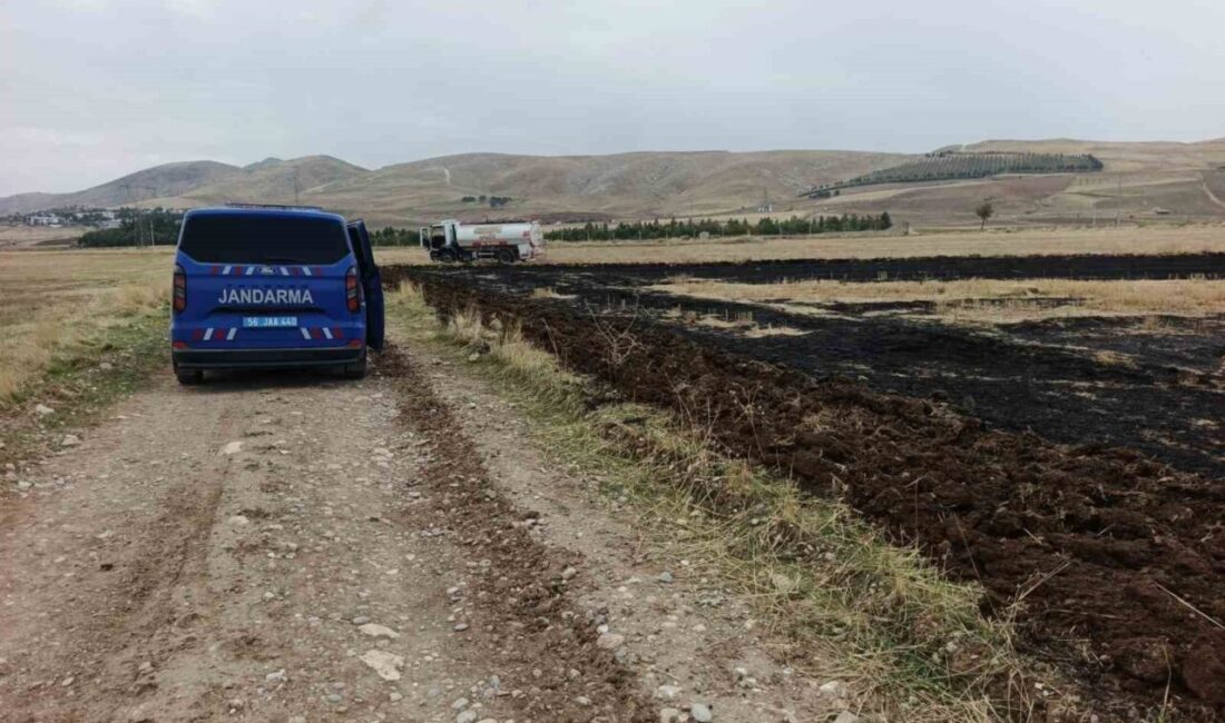 Siirt’in Kurtalan ilçesinde, yaklaşan ekim mevsimi öncesinde tarlasını temizlemek isteyen