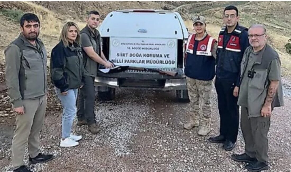 Siirt’te Doğa Koruma ve Milli Parklar (DKMP) Şube Müdürlüğü ekipleri,