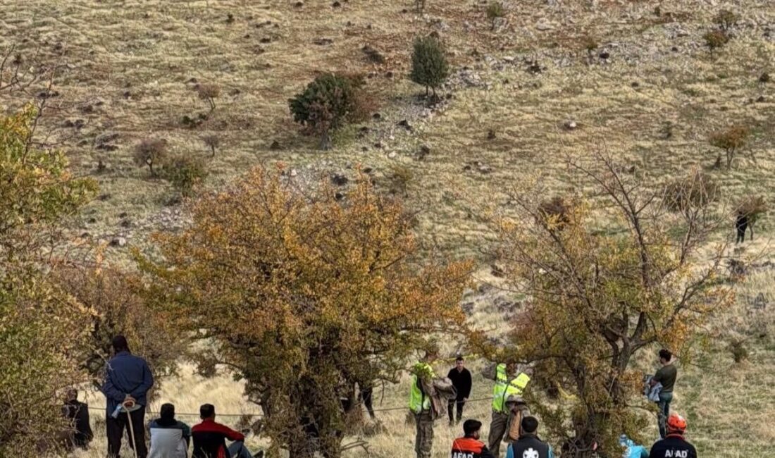 Siirt’in Şirvan ilçesinde dün sabah evinden hayvanlarına bakmaya giden ve