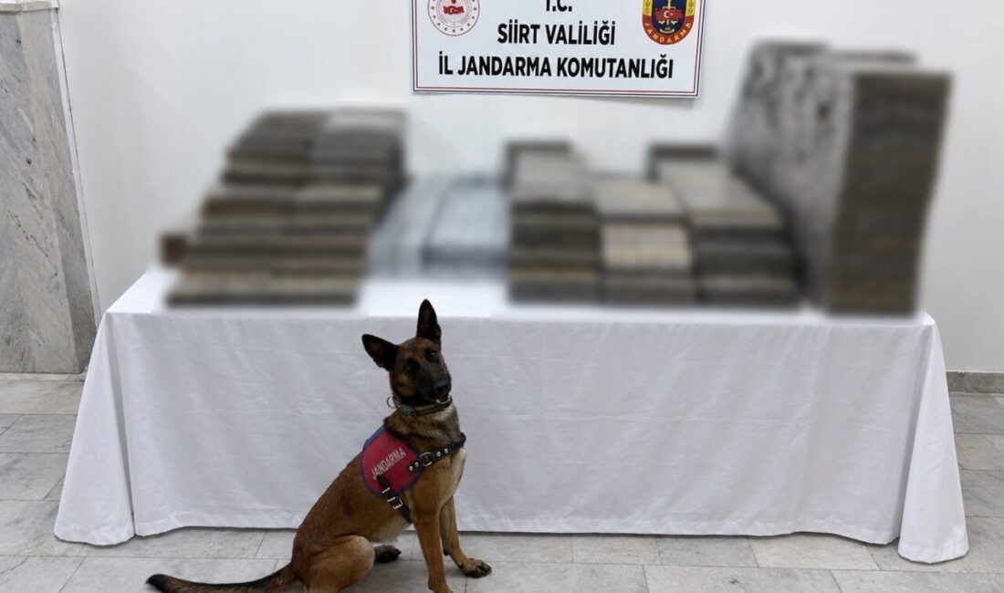 Siirt’te jandarma ekiplerince düzenlenen operasyonda, kömür çuvallarının arasına gizlenmiş piyasa