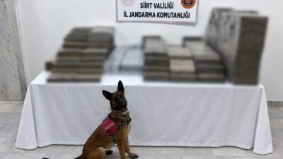 Siirt’te jandarma ekiplerince düzenlenen operasyonda, kömür çuvallarının arasına gizlenmiş piyasa