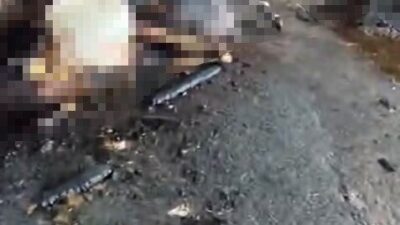 Silivri ilçesinde bir ahırda meydana gelen yangında, 14’ü gebe olan