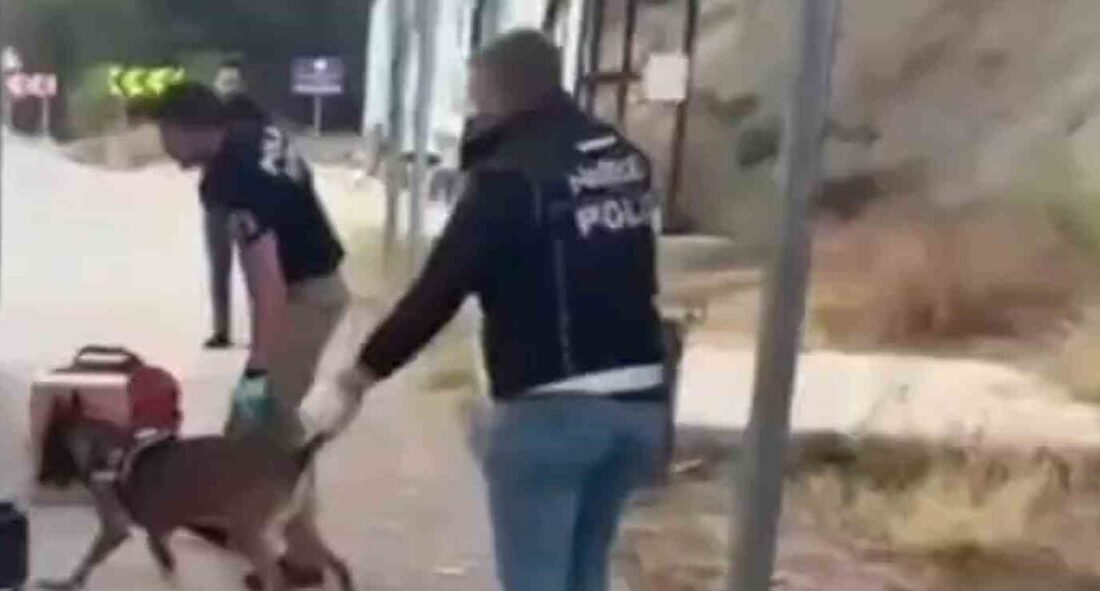 Boyabat ilçesinde gerçekleştirilen narkotik ekipleri operasyonunda 2 kilo 892 gram