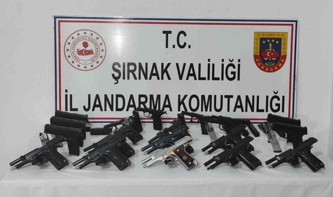 Şırnak’ta Jandarma ekiplerinin gerçekleştirdiği operasyonda durdurulan 3 tırda cephanelik bulundu.