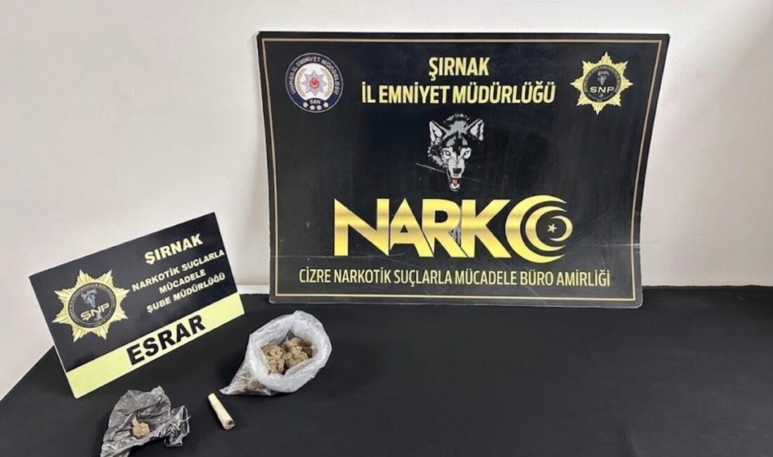 Şırnak’ta polis ekipleri tarafından son bir haftada kent genelinde gerçekleştirilen