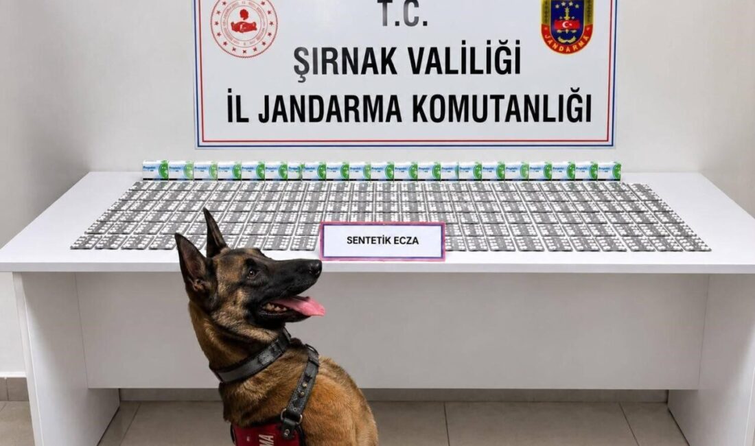 Şırnak’ta son yedi gün içerisinde çeşitli suçlardan aranan 49 kişi