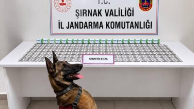 Şırnak’ta son yedi gün içerisinde çeşitli suçlardan aranan 49 kişi
