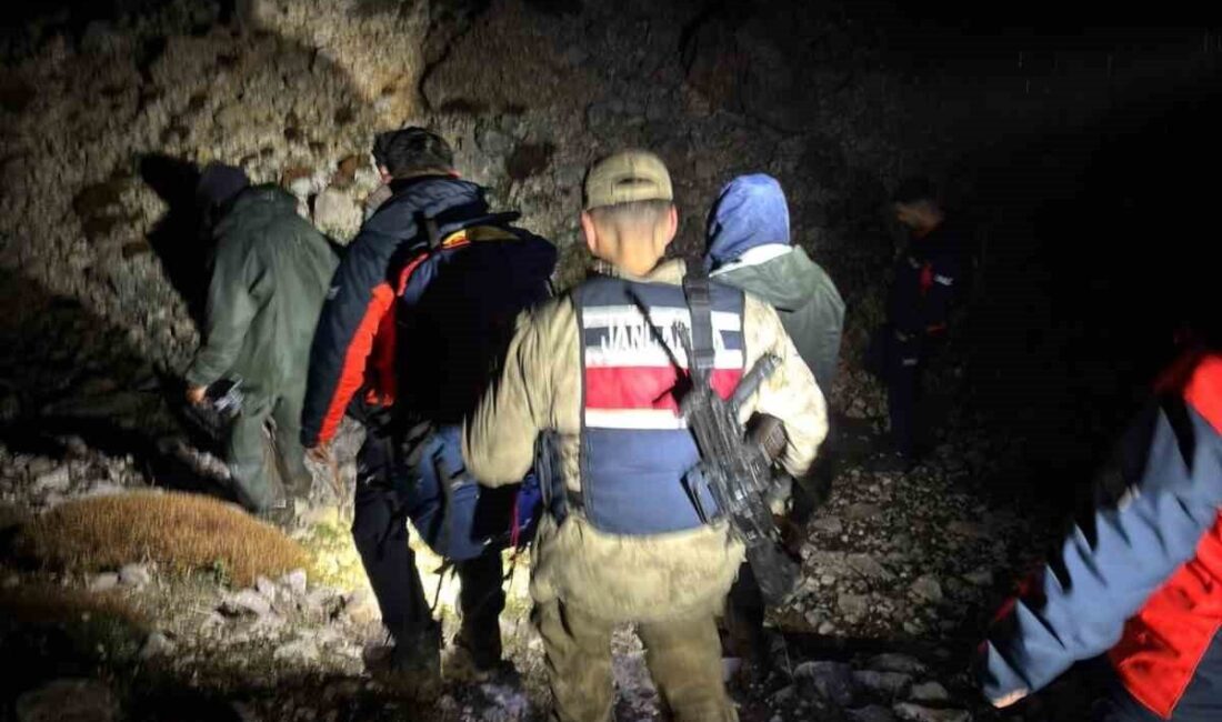 Tunceli’nin Ovacık ilçesinde keçilerini aramak için yaylaya çıkan 2 kişi,