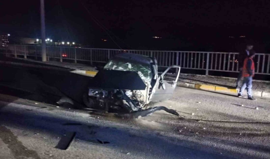 Sivas’ın Suşehri ilçesinde bir otomobil sürücüsü, elektrik direğine çarparak yaralandı.