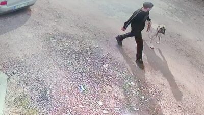 Şanlıurfa’nın Siverek ilçesindeki bir evden Kangal cinsi bir köpek, bilinmeyen