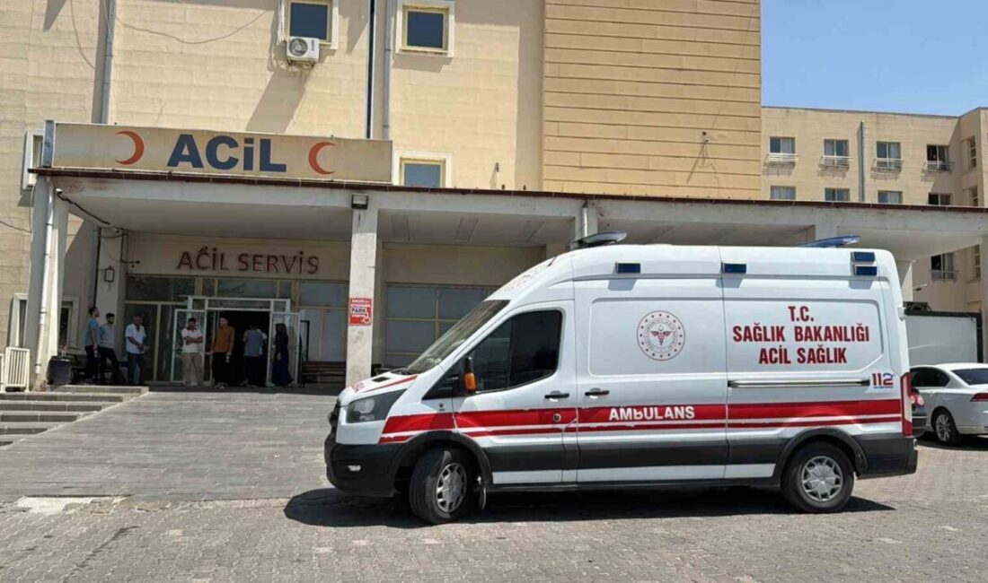 Siverek ilçesinde meydana gelen trafik kazasında, bir otomobilin kontrolünü kaybederek