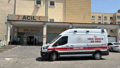 Siverek ilçesinde meydana gelen trafik kazasında, bir otomobilin kontrolünü kaybederek