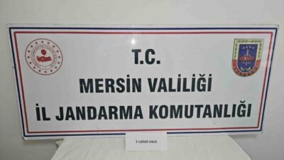 Mersin’in Anamur ilçesinde jandarma ekipleri tarafından gerçekleştirilen operasyonda tarihi eser
