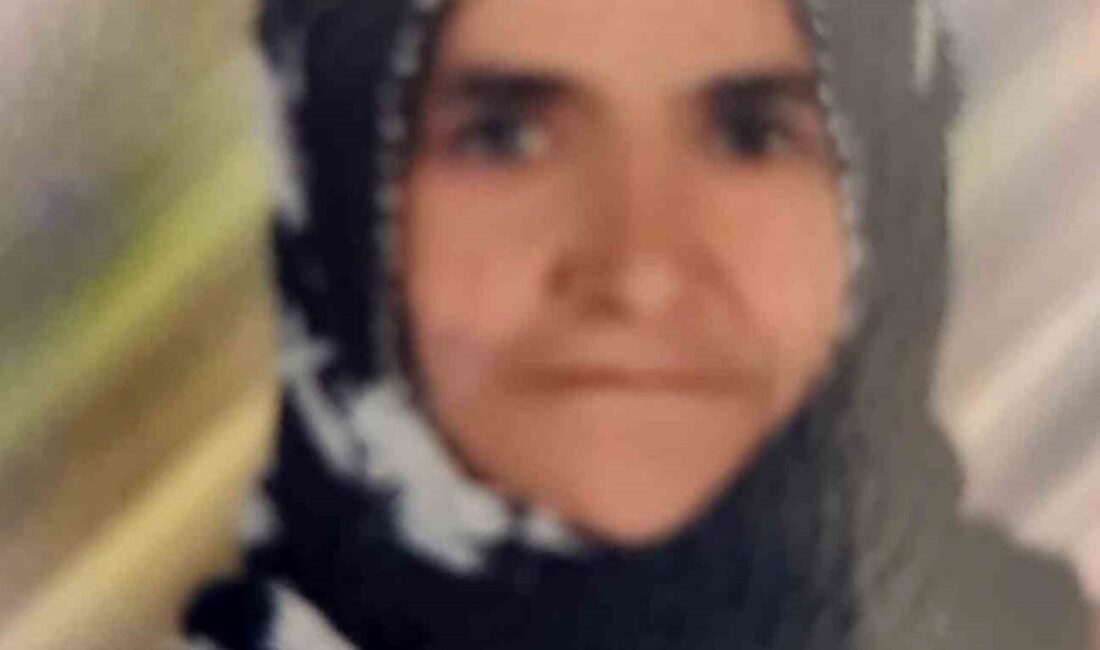 Tarsus ilçesinde meydana gelen trafik kazasında, 72 yaşındaki bir kadın