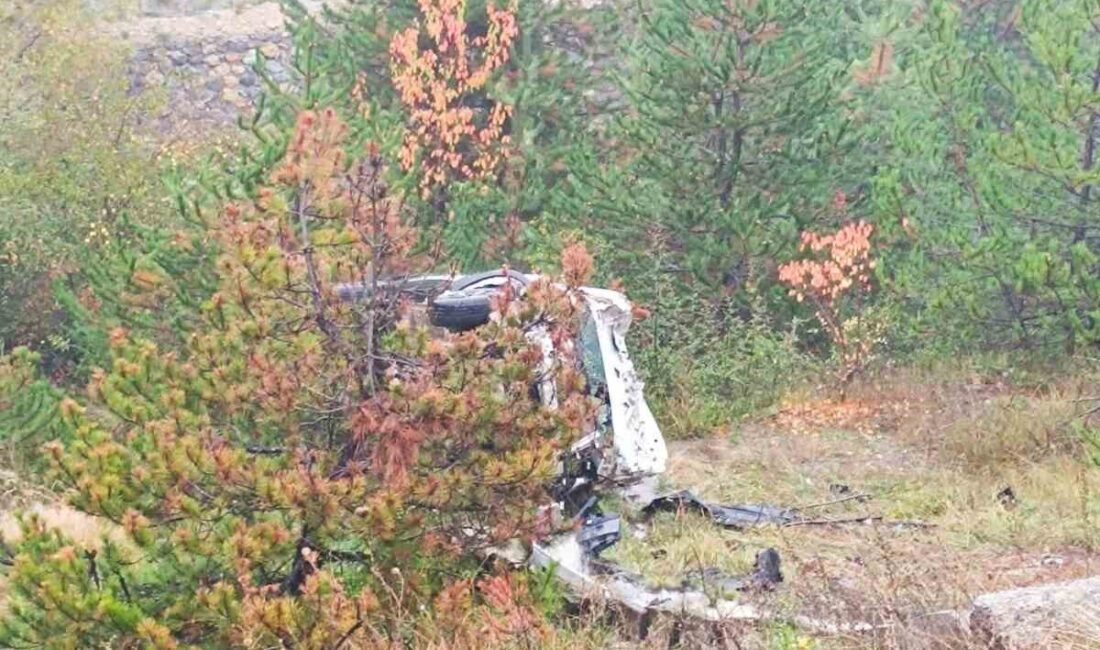 TEM Otoyolu Bolu geçişinde meydana gelen bir trafik kazasında, araç