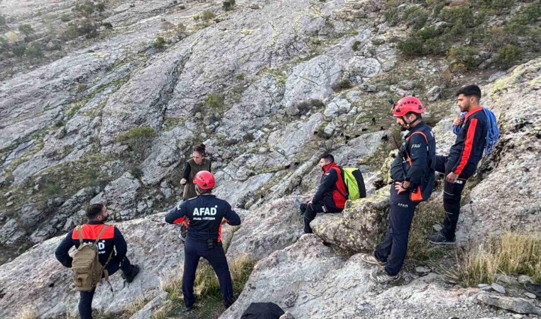 Tunceli’de sarp kayalıklarda günlerdir mahsur kalan keçiler, AFAD ekiplerinin çalışmasıyla