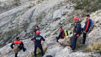 Tunceli’de sarp kayalıklarda günlerdir mahsur kalan keçiler, AFAD ekiplerinin çalışmasıyla