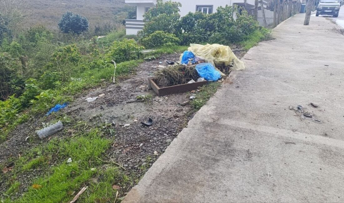 Sakarya’nın Karasu ilçesinde meydana gelen trafik kazasında, otomobil ile çarpışan