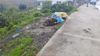Sakarya’nın Karasu ilçesinde meydana gelen trafik kazasında, otomobil ile çarpışan