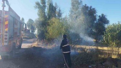 Van’ın Gevaş ilçesinde ortaya çıkan bir örtü yangını itfaiye ekipleri