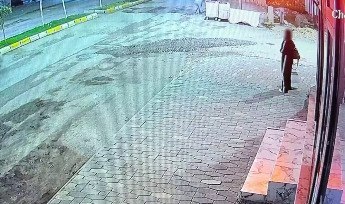 Adıyaman’da bir kadın, yolda yürürken kaldırımda yemek yiyen bir kediye