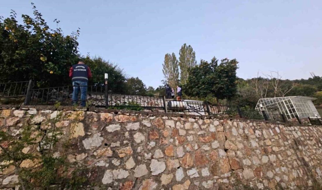 Bursa’nın Orhangazi ilçesinde bulunan bir villanın bahçesinde yer alan 30