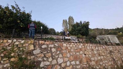 Bursa’nın Orhangazi ilçesinde bulunan bir villanın bahçesinde yer alan 30