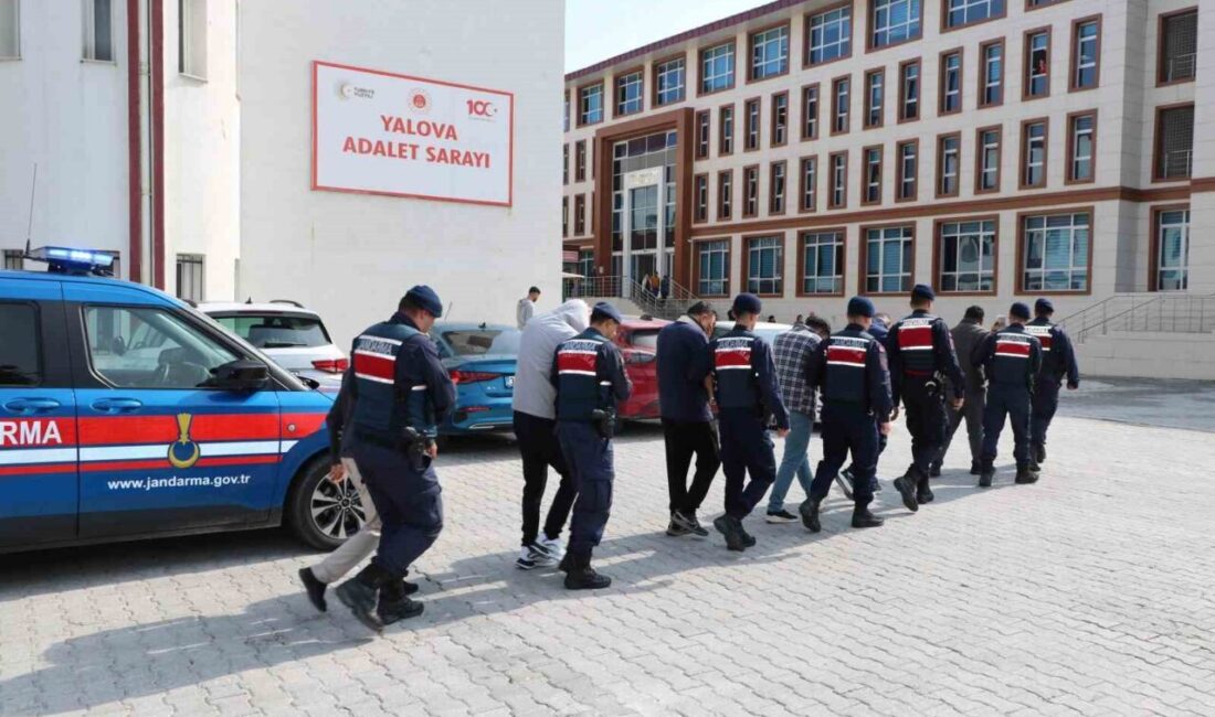 6 ilde bilişim sistemlerini kullanarak nitelikli dolandırıcılık yaptıkları suçlamasıyla aralarında