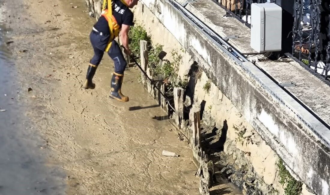 Yalova’da, Rüstem Paşa Mahallesi Gazi Paşa Caddesi’ndeki bir derede mahsur