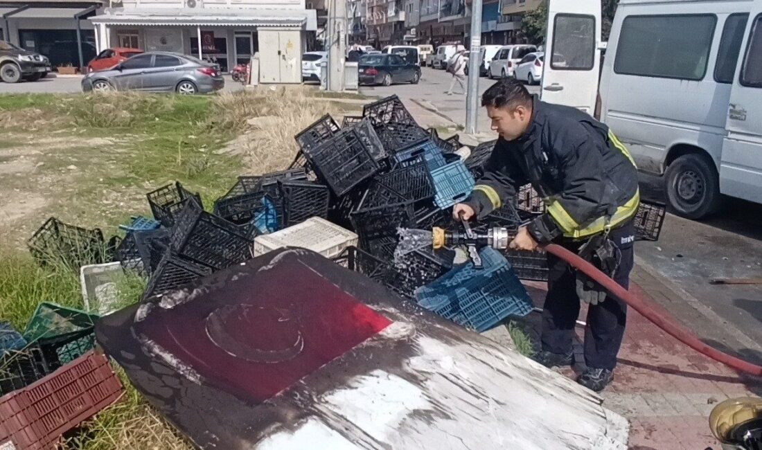 Manavgat ilçesindeki bir olayda, park halindeki kamyonet önce önündeki araca