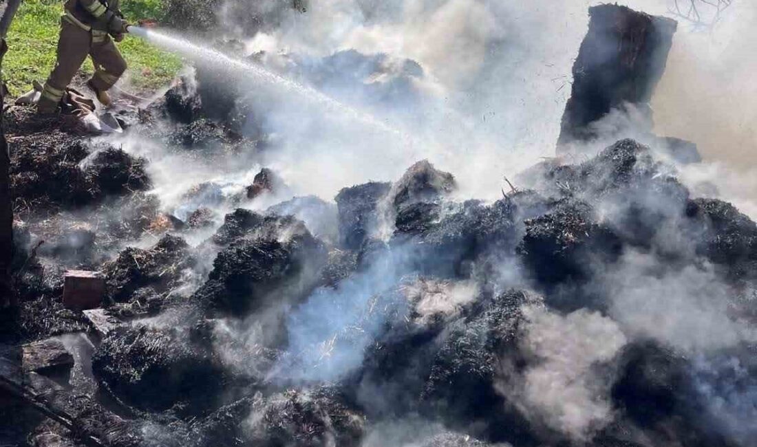Yayladağı ilçesinde, Bozlu Mahallesi’ndeki bir samanlıkta çıkan yangın, Hatay Büyükşehir