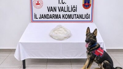 Van’ın Gevaş ilçesinde jandarma ekiplerince yürütülen çalışmalar sonucunda bir yolcunun
