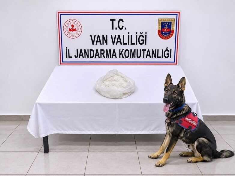 Van’ın Gevaş ilçesinde jandarma ekiplerince yürütülen çalışmalar sonucunda bir yolcunun