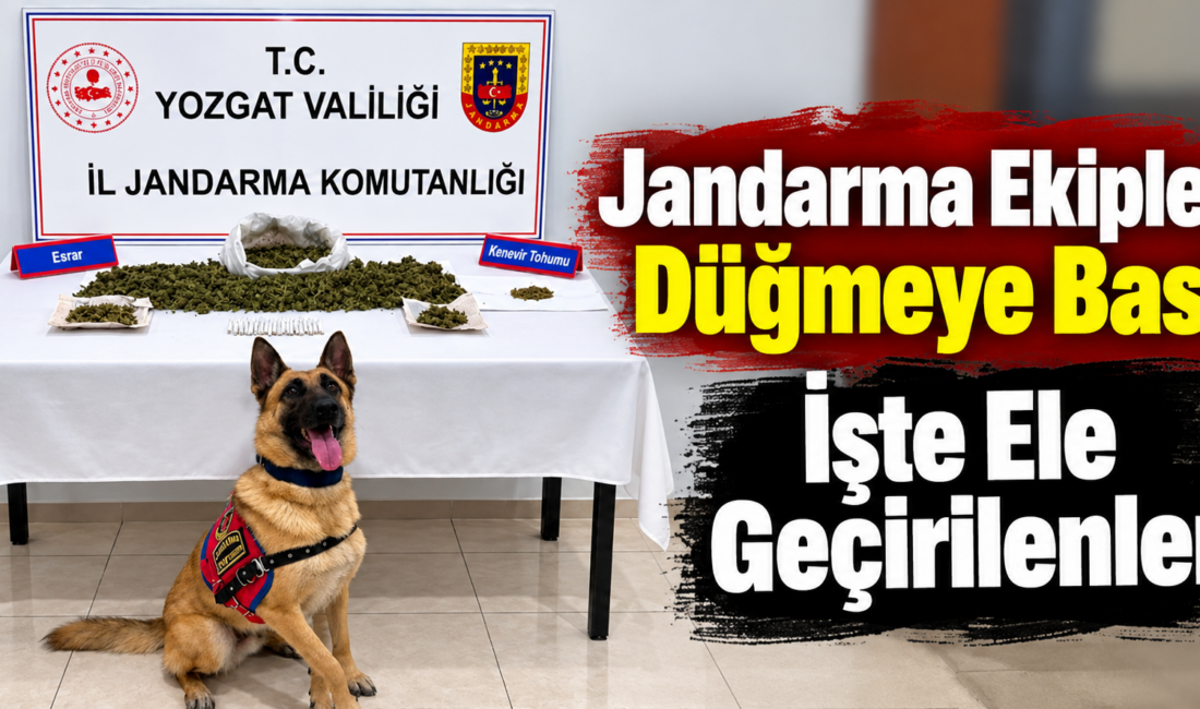 Yozgat İl Jandarma Komutanlığı ekiplerince il genelinde kaçakçılık ve narkotik